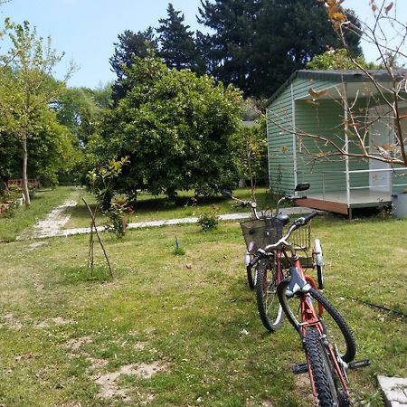 SaklıBahçe Pension Cirali Bagian luar foto