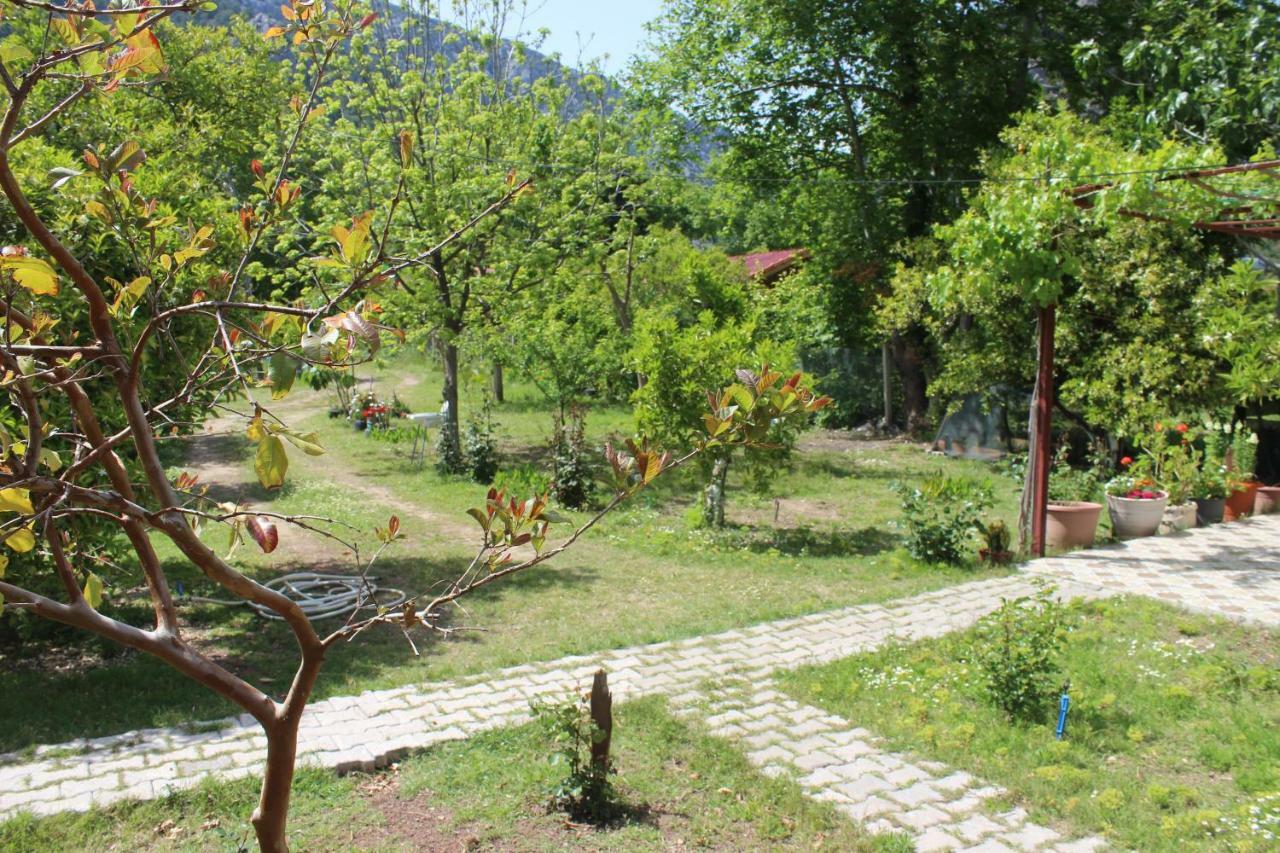 SaklıBahçe Pension Cirali Bagian luar foto