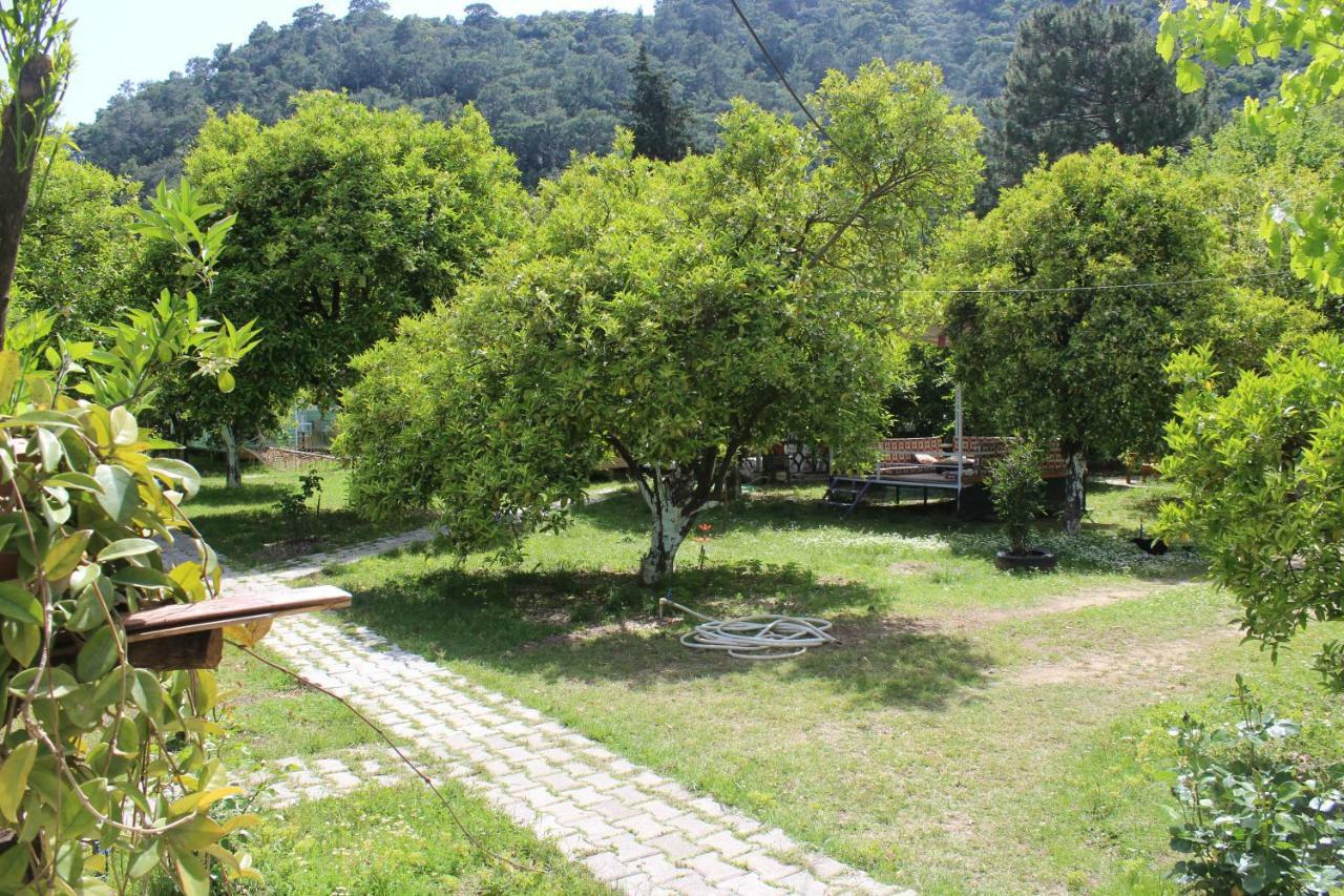 SaklıBahçe Pension Cirali Bagian luar foto