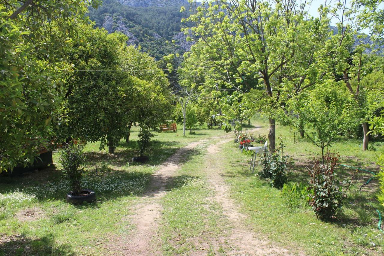 SaklıBahçe Pension Cirali Bagian luar foto