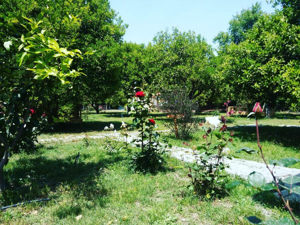 SaklıBahçe Pension Cirali Bagian luar foto